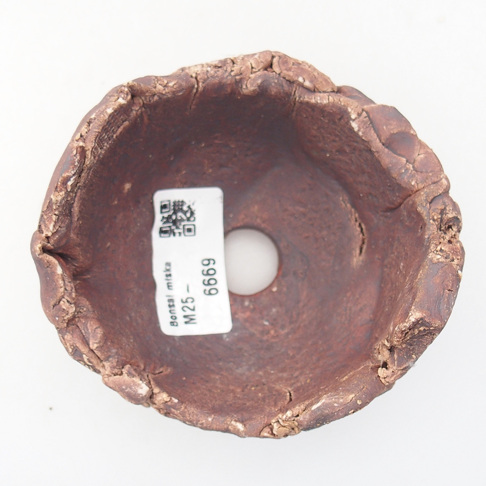 Ceramiczna muszla 9 x 9 x 6 cm, kolor brązowy