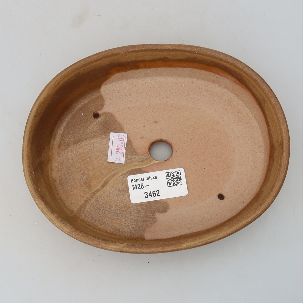 Ceramiczna miska na bonsai 17 x 14 x 4 cm, kolor beżowy