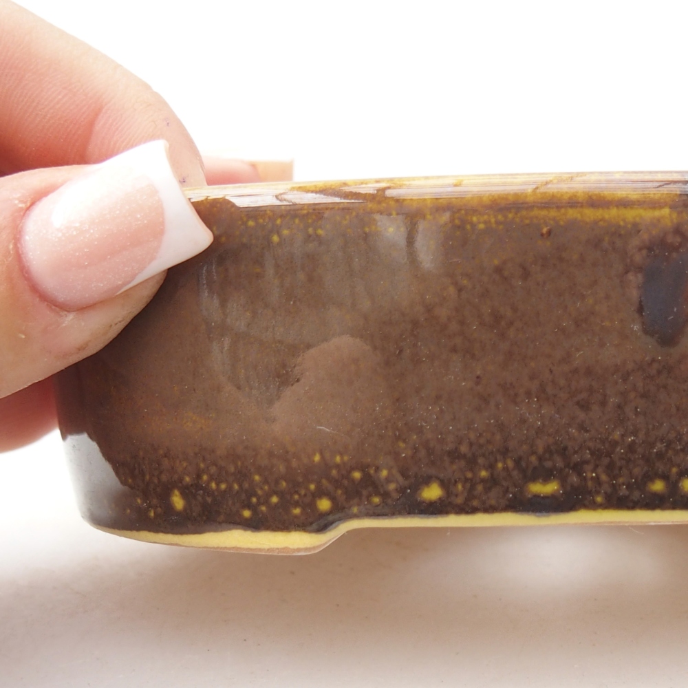 Ceramiczna miska do bonsai 12,5 x 10 x 3,5 cm, żółta