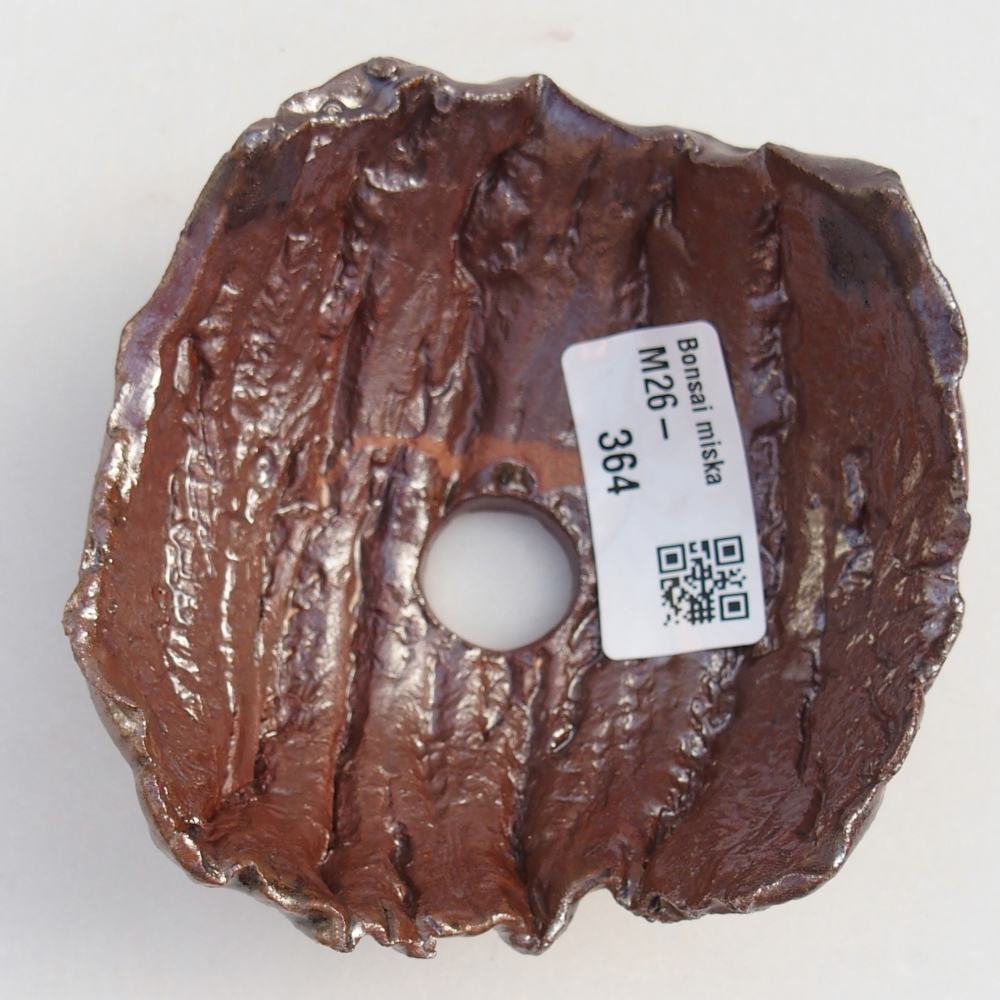 Muszla ceramiczna 9 x 9 x 5 cm, kolor brązowy