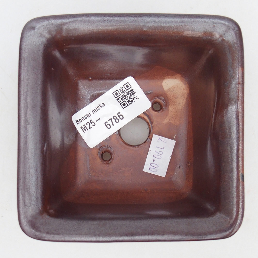 Ceramiczna miska do bonsai 10 x 10 x 6 cm, bordowa