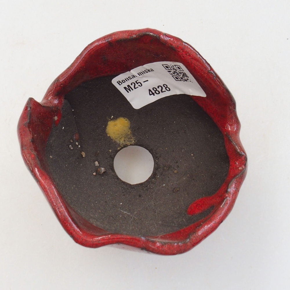 Muszla ceramiczna 8 x 7 x 6 cm, kolor czerwony