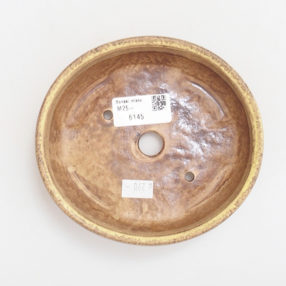 Ceramiczna miska do bonsai 15 x 13,5 x 3,5 cm, kolor Żółty