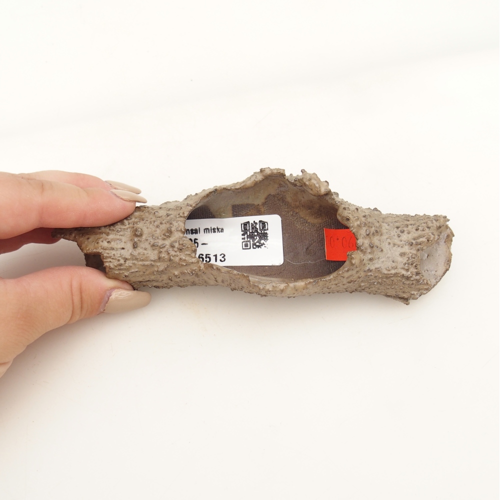 Ceramiczna muszla 15 x 5 x 3 cm, kolor beżowy