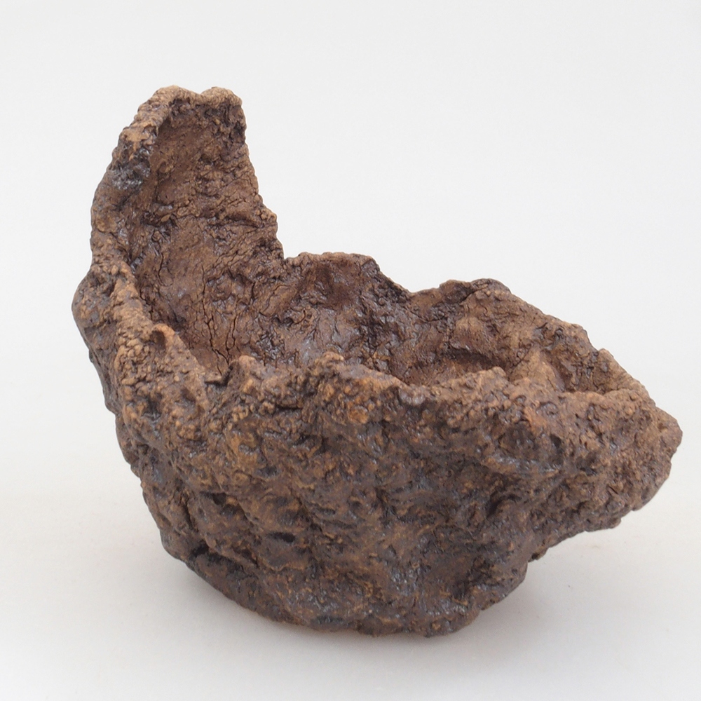 Muszla ceramiczna 10 x 8 x 10 cm, kolor brązowy