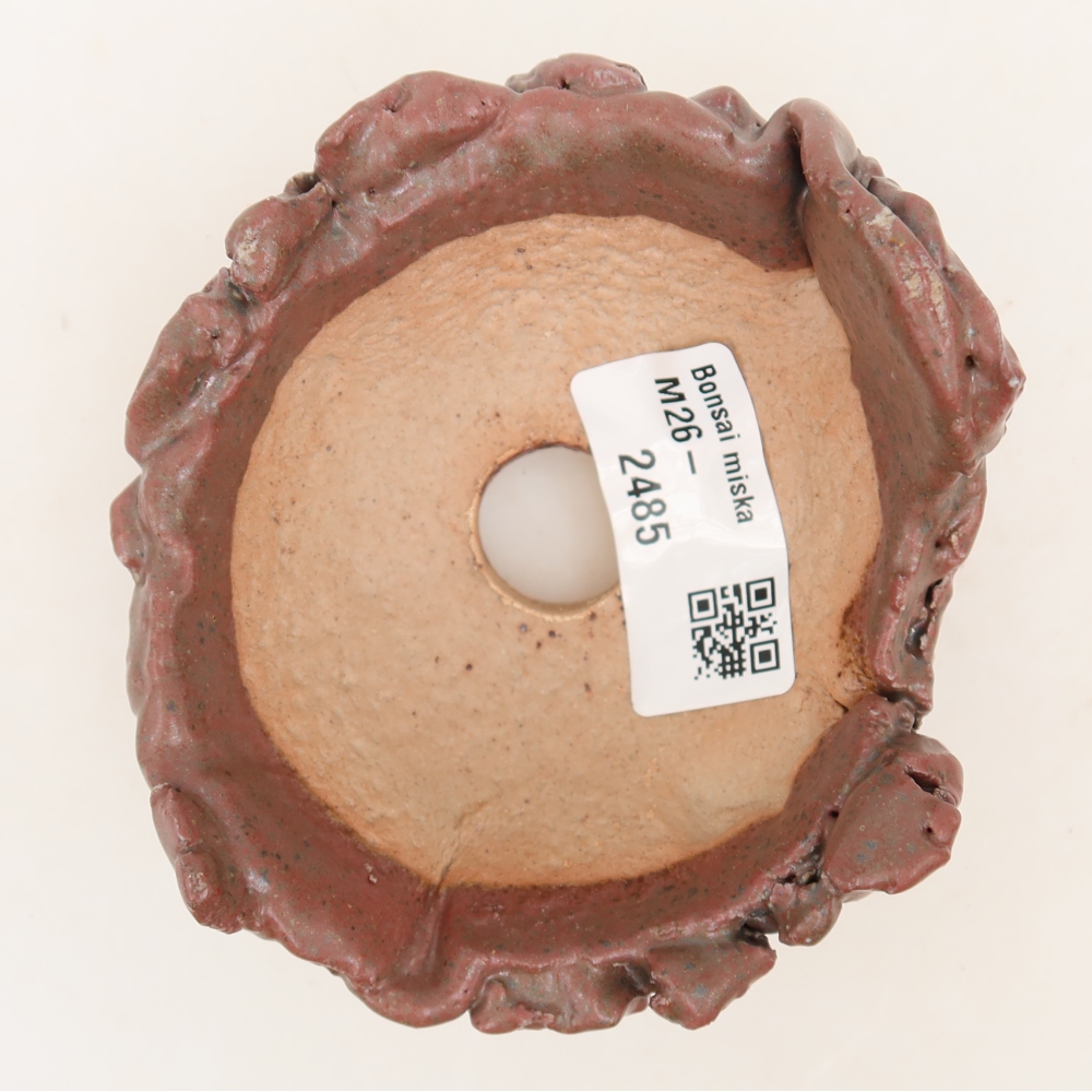 Ceramiczna skorupka  9,5 x 9 x 5 cm, kolor różowy