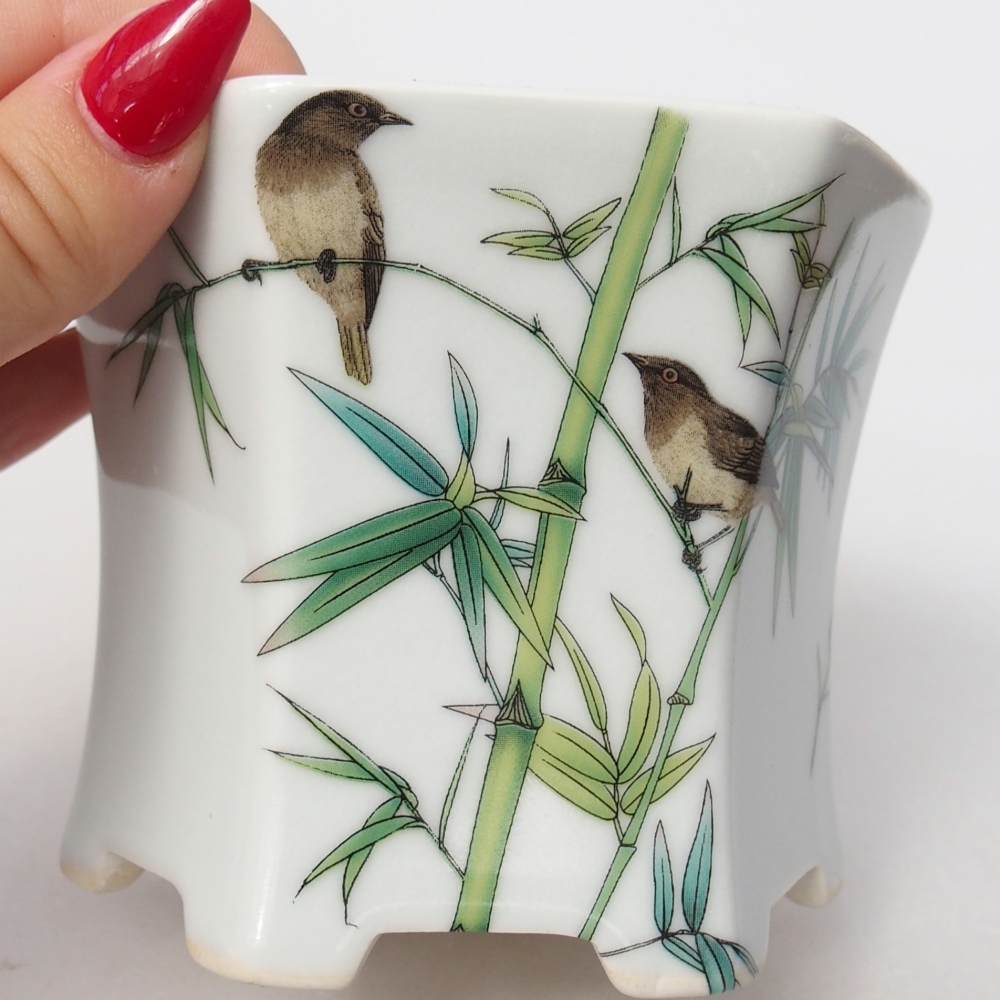 Ceramiczna miska do bonsai 10,5 x 9,5 x 9 cm, kolor biały
