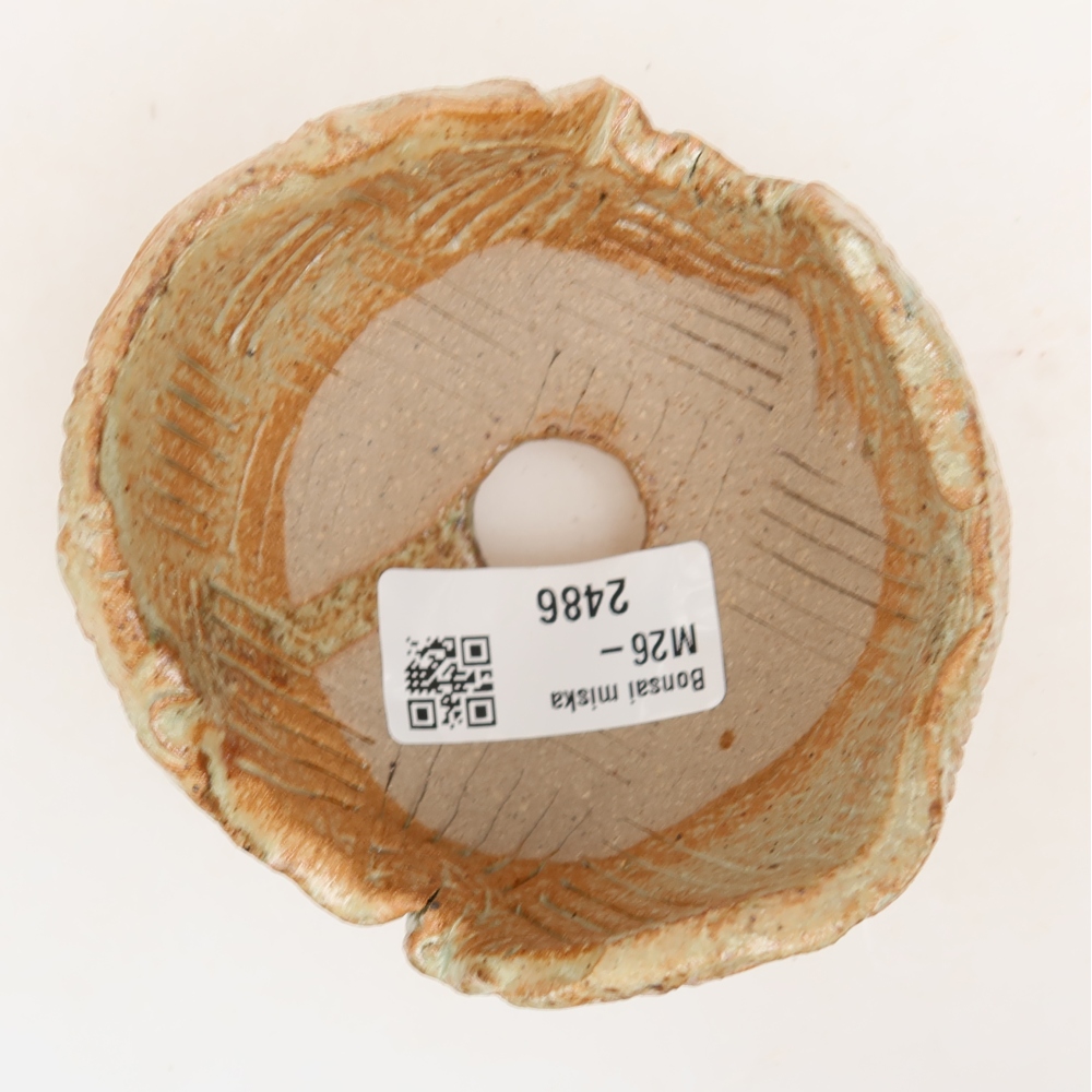 Muszla ceramiczna 9 x 8,5 x 6,5 cm, kolor beżowy