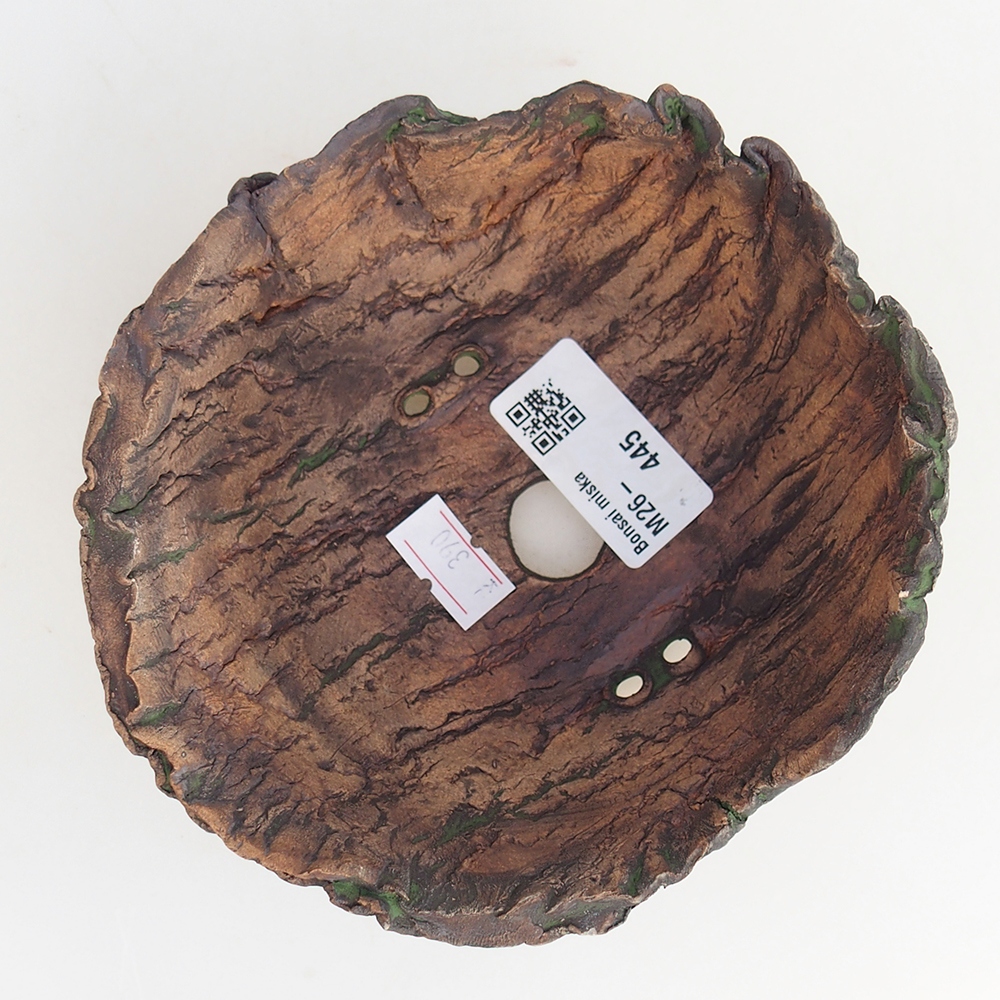 Ceramiczna muszla 13 x 13 x 7 cm, kolor zielony