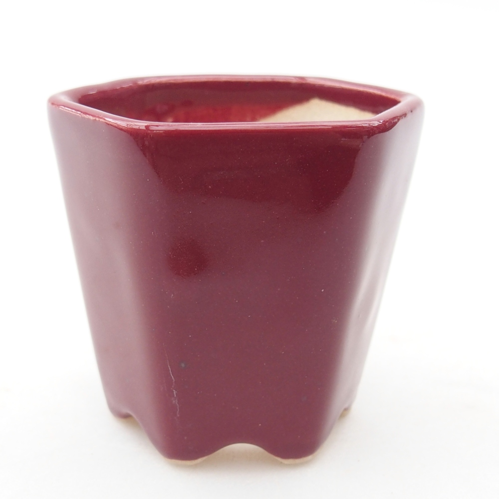 Mini miska do bonsai 5,5 x 5 x 5 cm, kolor bordowy