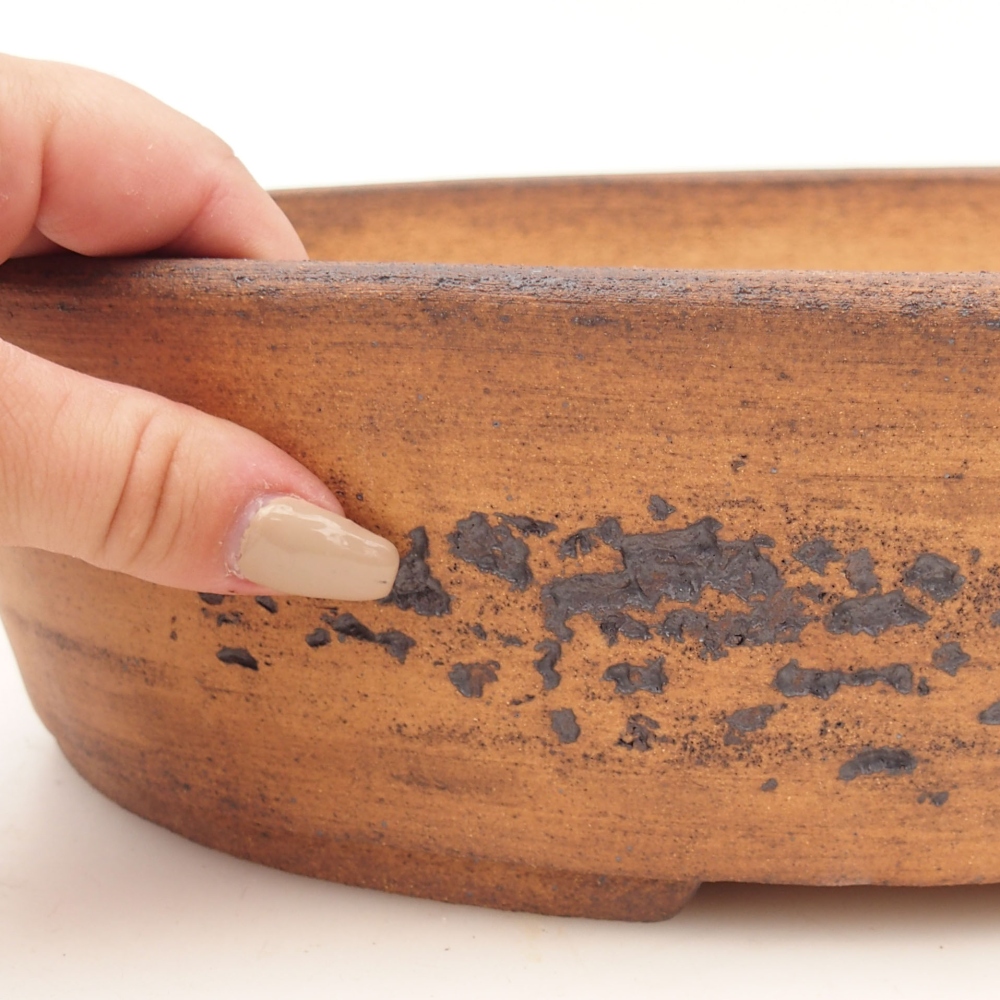 Misa do bonsai 32,5 x 25,5 x 8 cm, kolor brązowy