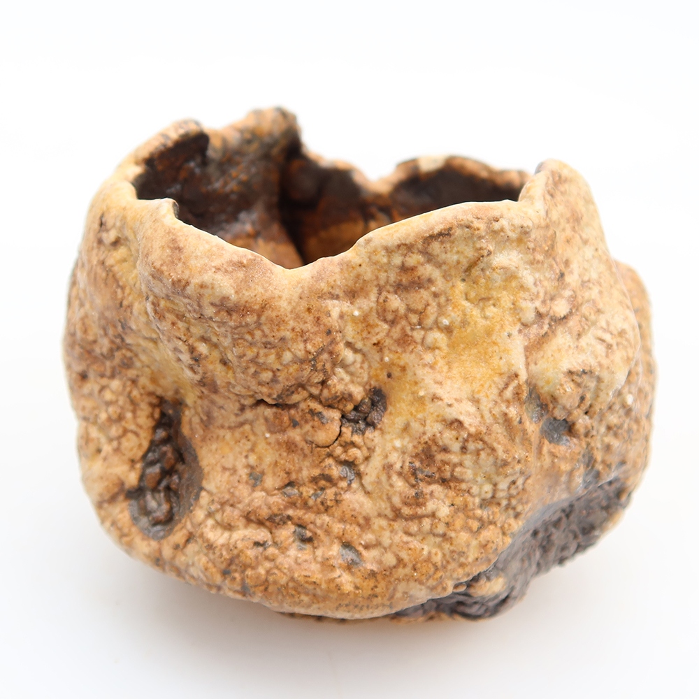 Ceramiczna skorupa  6 x 5 x 6 cm, kolor brązowy