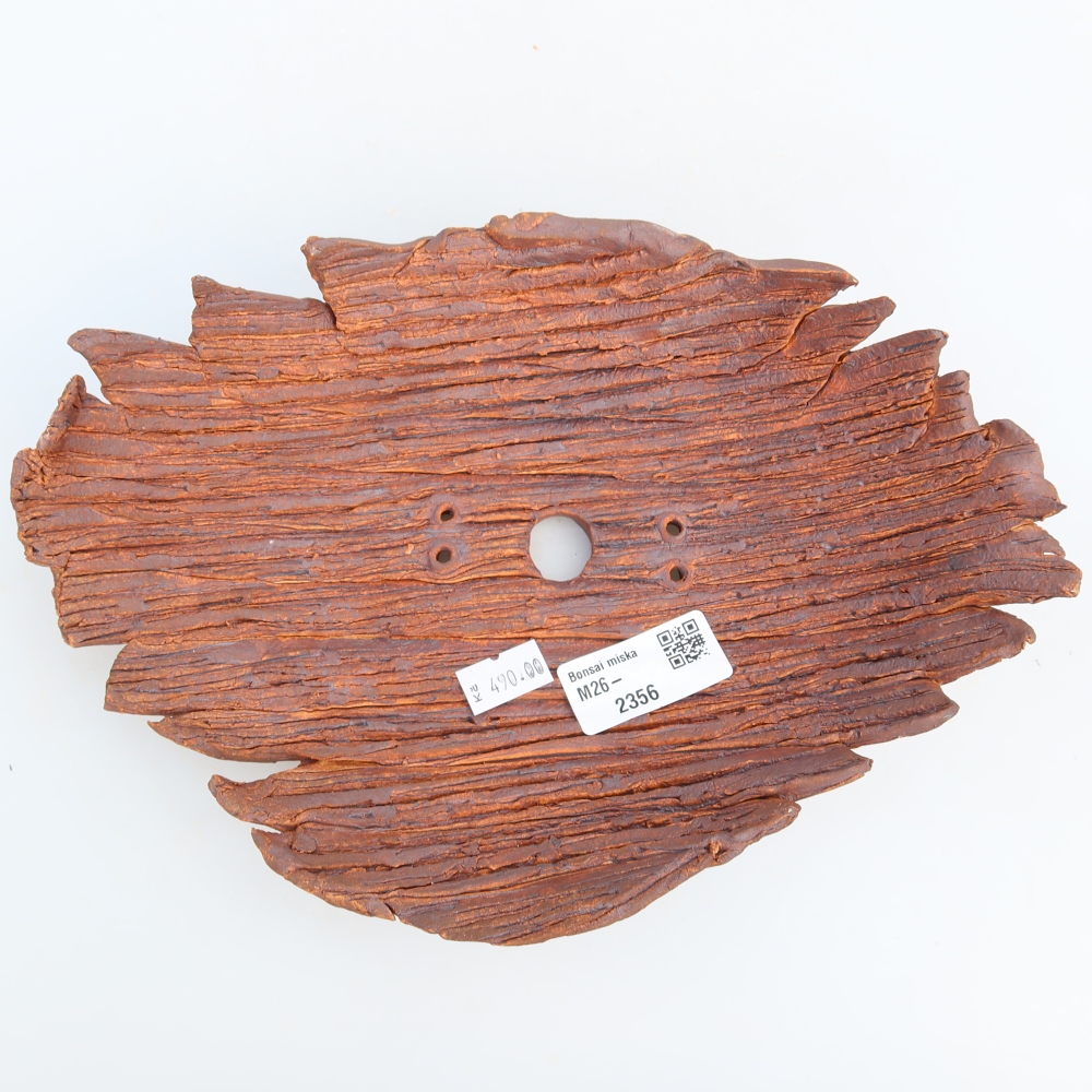 Ceramiczna skorupa  24 x 17 x 6,5 cm, kolor brązowy