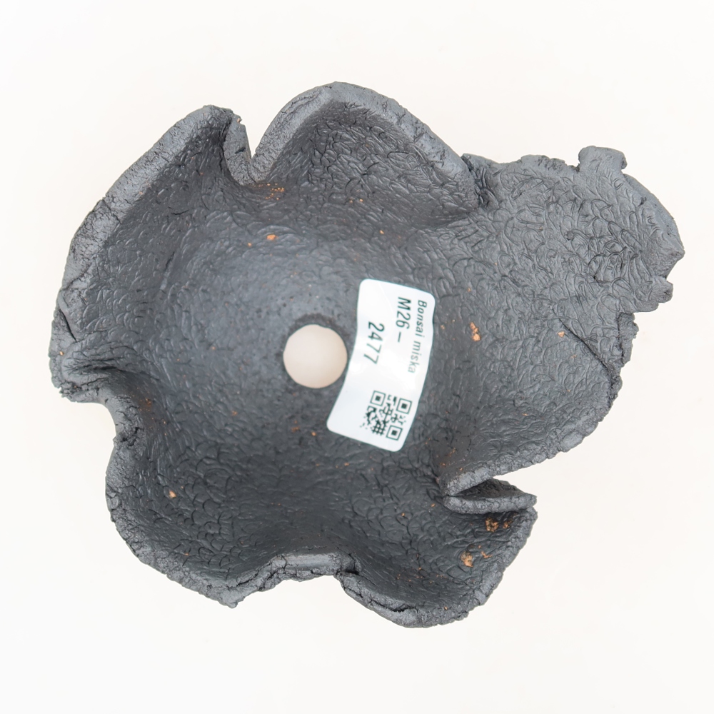 Ceramiczna skorupa  12,5 x 11 x 7,5 cm, kolor metaliczny