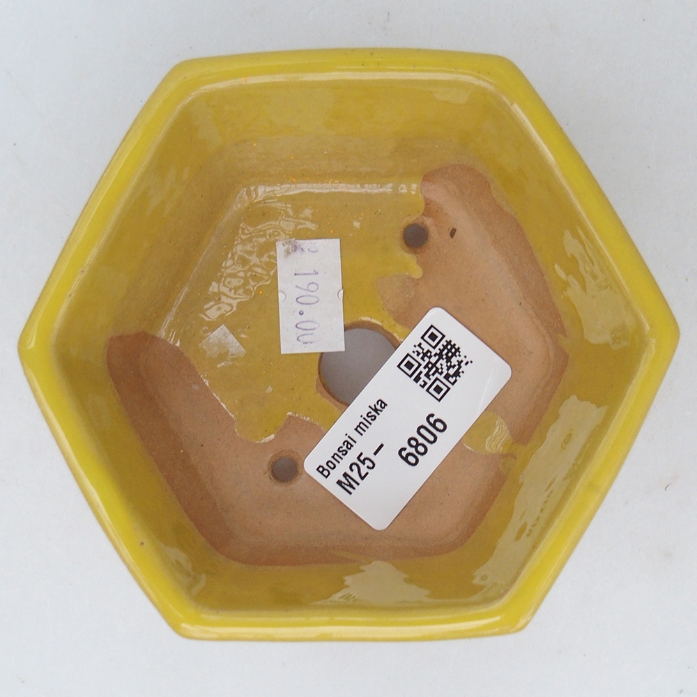 Ceramiczna miska do bonsai 10,5 x 9,5 x 5 cm, żółta