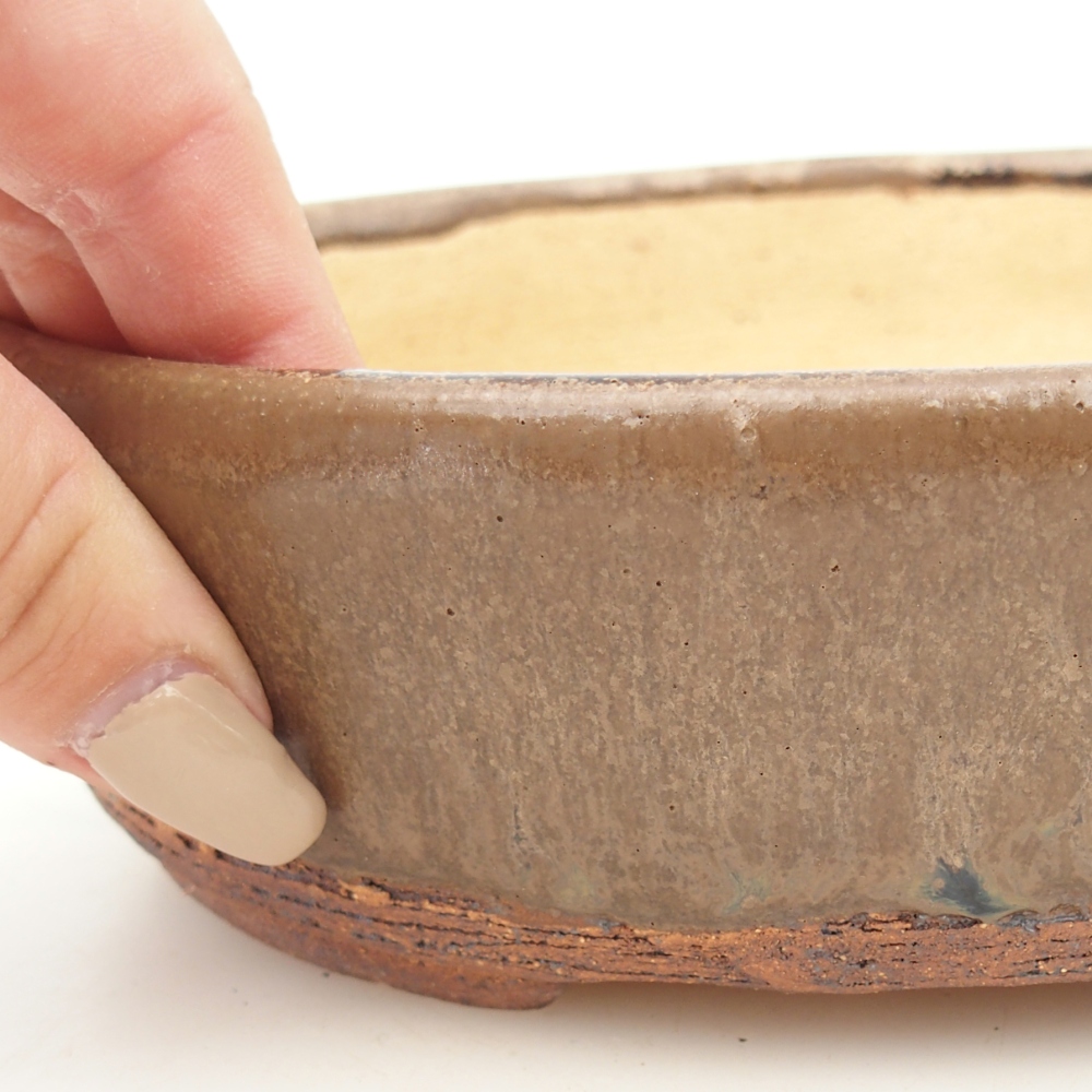 Misa do bonsai 19,5 x 16 x 6 cm, kolor brązowy