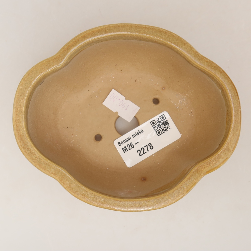 Ceramiczna miska do bonsai 12,5 x 10,5 x 4,5 cm, kolor beżowy