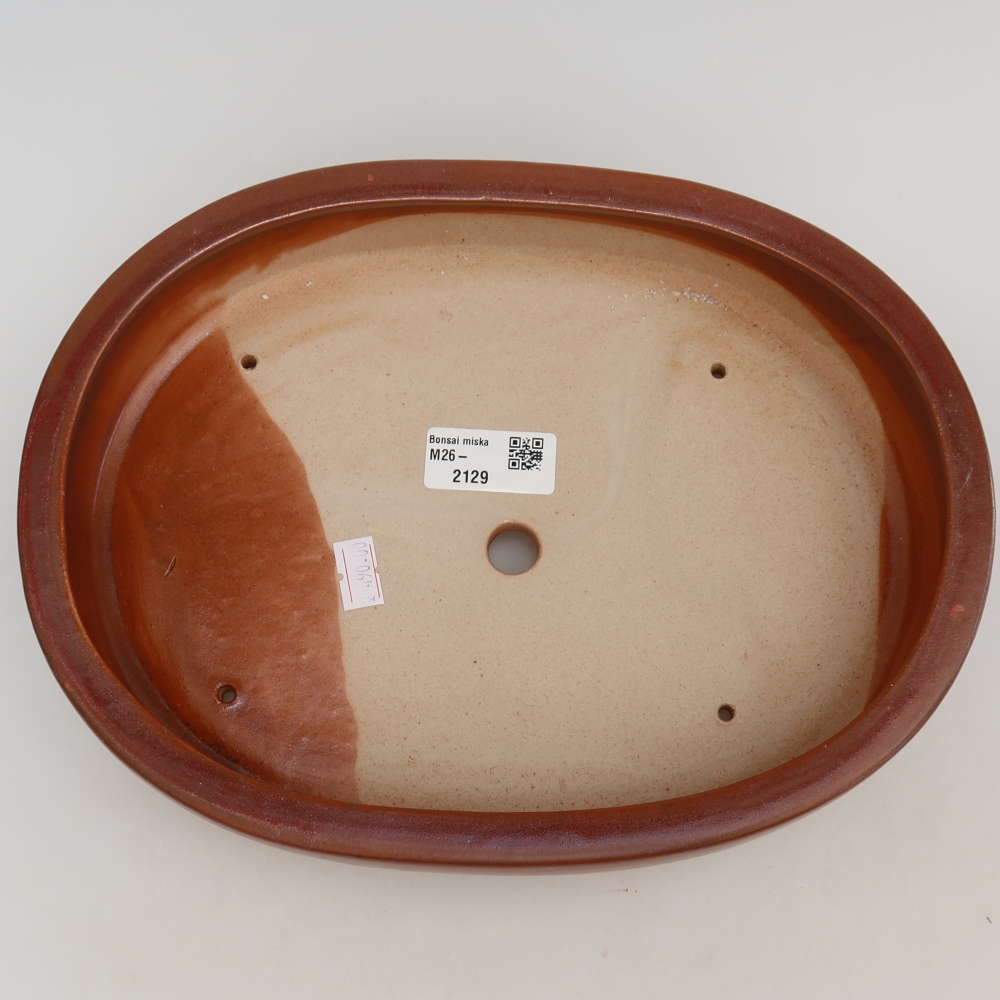 Ceramiczna miska do bonsai 27 x 21 x 5,5 cm, kolor bordowy