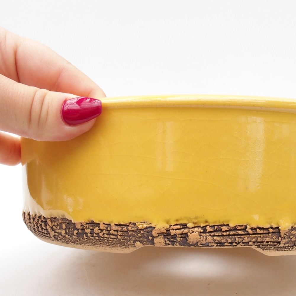 Ceramiczna miska bonsai 20,5 x 20,5 x 6 cm, kolor żółty