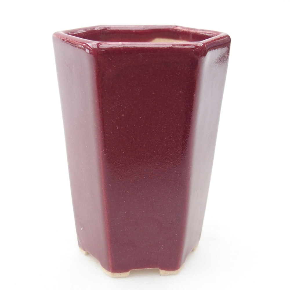 Mini miska do bonsai 5 x 4,5 x 6,5 cm, bordowa