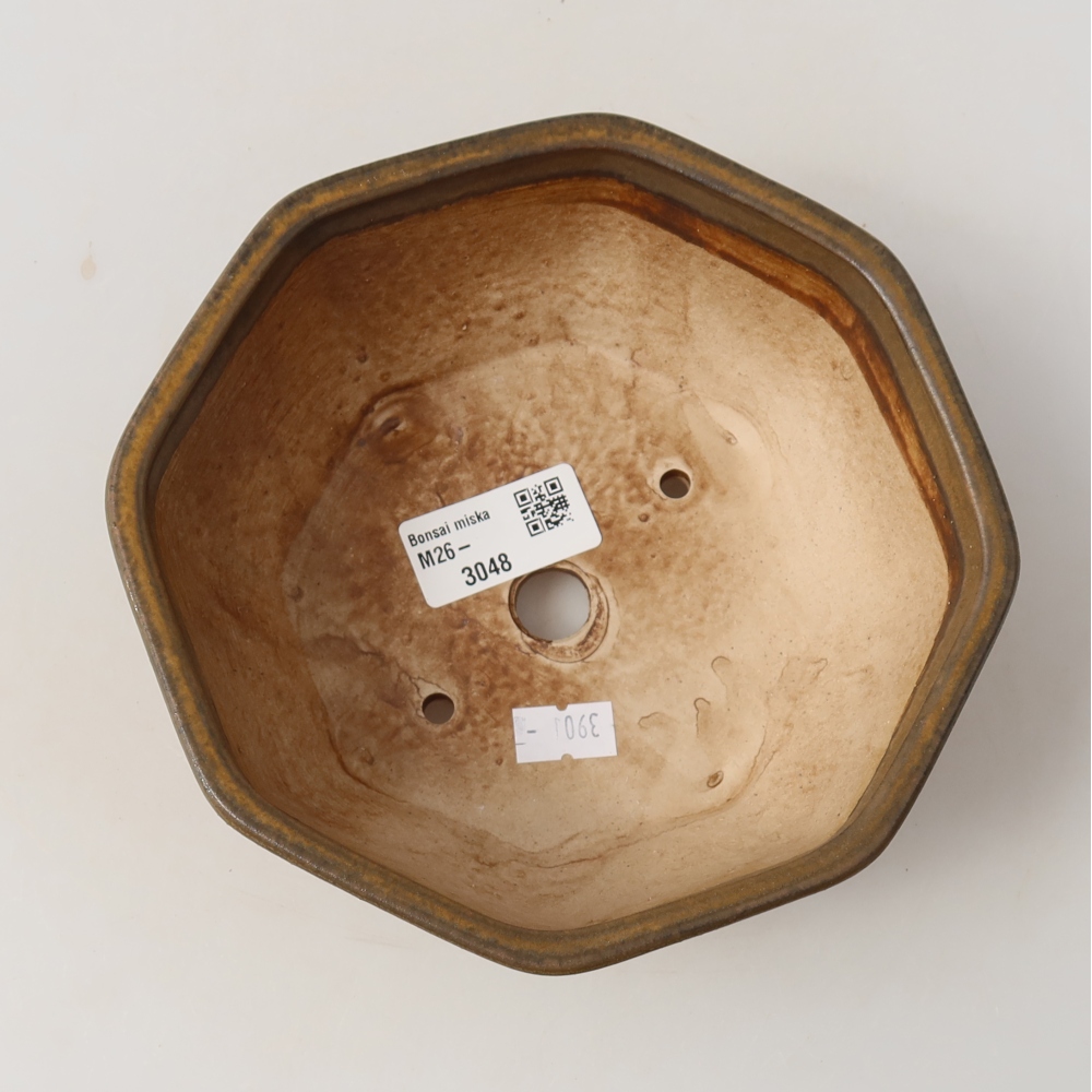 Ceramiczna miska do bonsai 17 x 16 x 6,5 cm, kolor brązowy