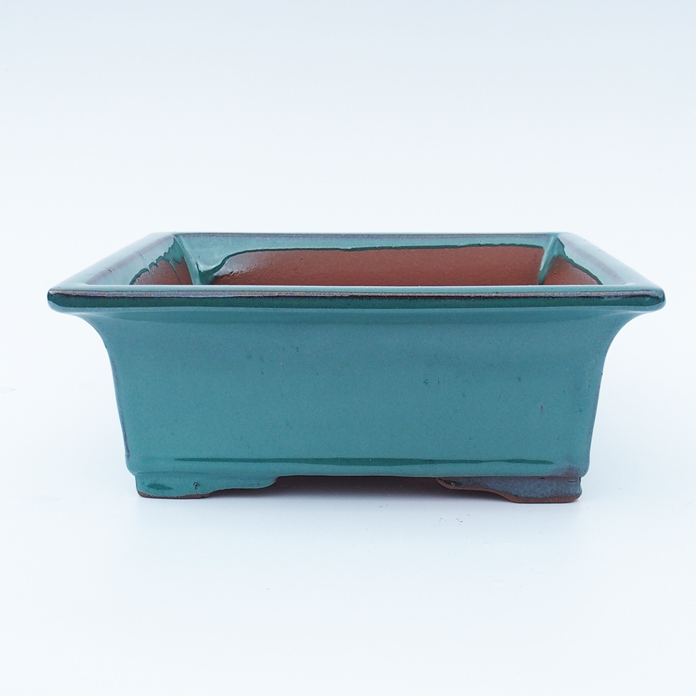 Miska 26 x 21,5 x 10 cm zielona