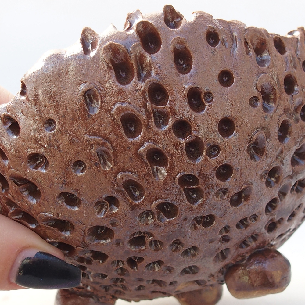 Ceramiczna muszla 12,5 x 12,5 x 9 cm, kolor brązowy