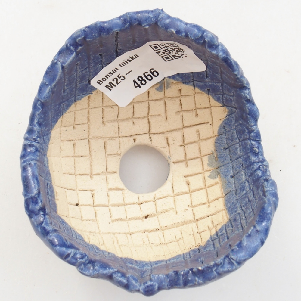 Muszla ceramiczna 7 x 7 x 6 cm, kolor niebieski