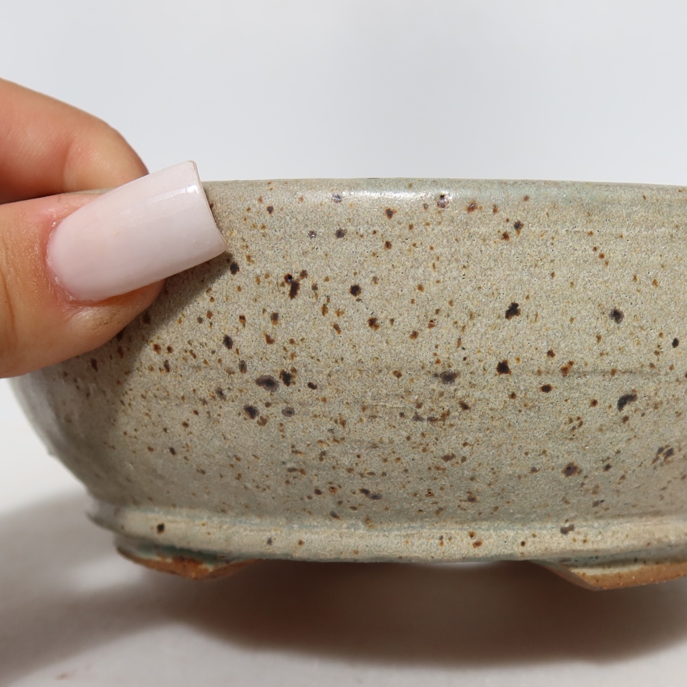 Ceramiczna miska do bonsai 14,5 x 14,5 x 5,5 cm, kolor beżowy