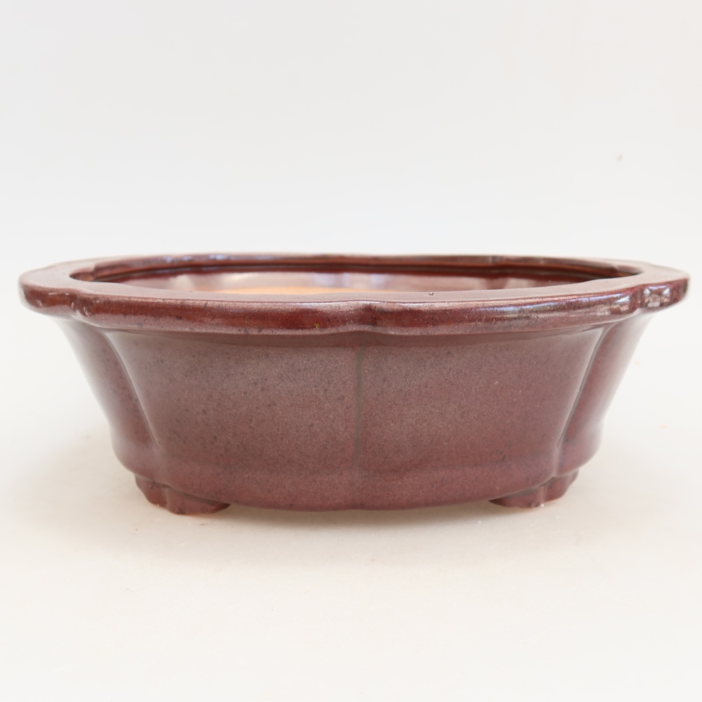 Ceramiczna miska na bonsai 26 x 26 x 8 cm, bordowa