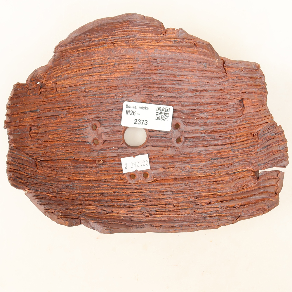 Ceramiczna skorupa  20 x 16 x 7 cm, kolor brązowy