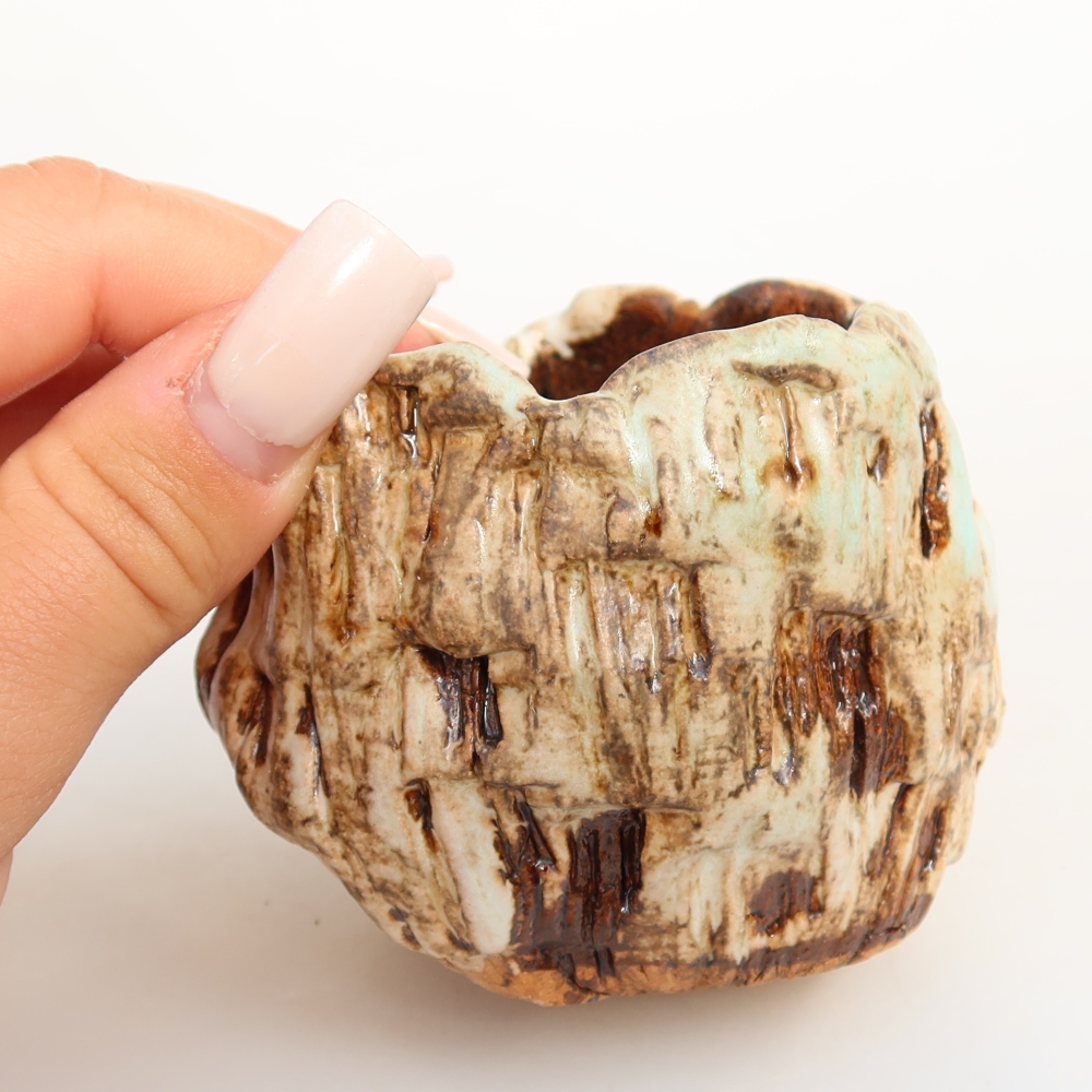 Ceramiczna skorupa  7 x 7 x 6,5 cm, kolor biało-brązowy