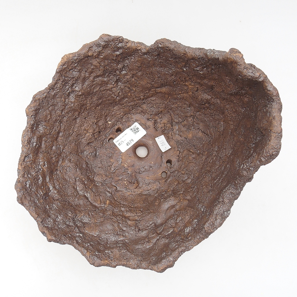 Muszla ceramiczna 24,5 x 24 x 21 cm, kolor brązowy