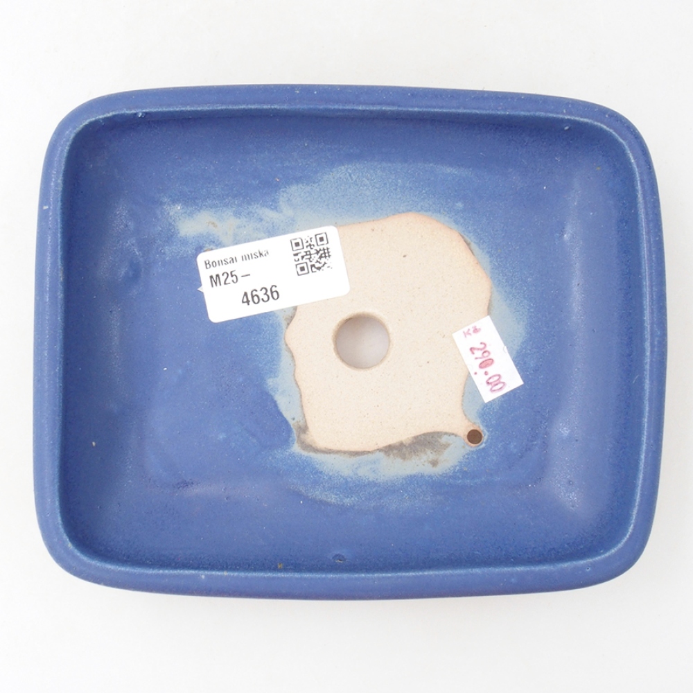 Ceramiczna miska bonsai 17 x 13,5 x 3,5 cm, kolor niebieski
