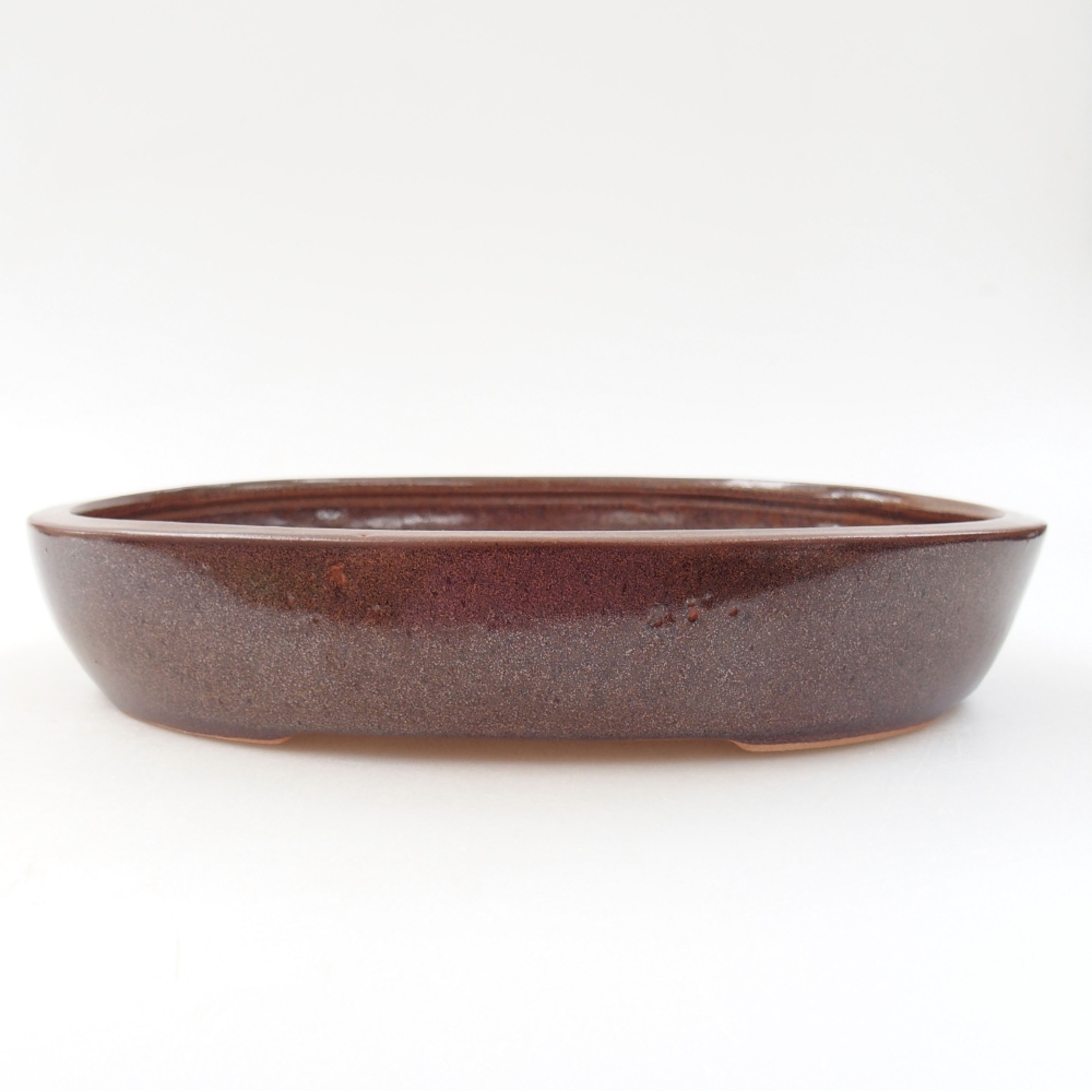 Ceramiczna miska bonsai 22 x 17 x 4 cm, kolor brązowy
