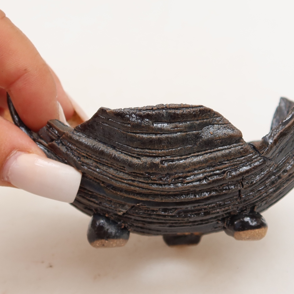 Ceramiczna skorupa  11 x 8,5 x 6,5 cm, kolor czarno-zielony