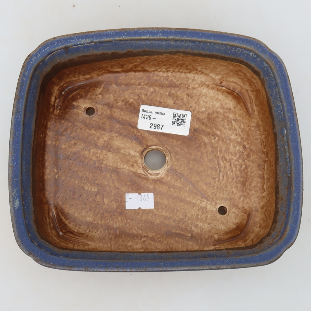 Ceramiczna miska do bonsai 20 x 17,5 x 6 cm, kolor niebieski
