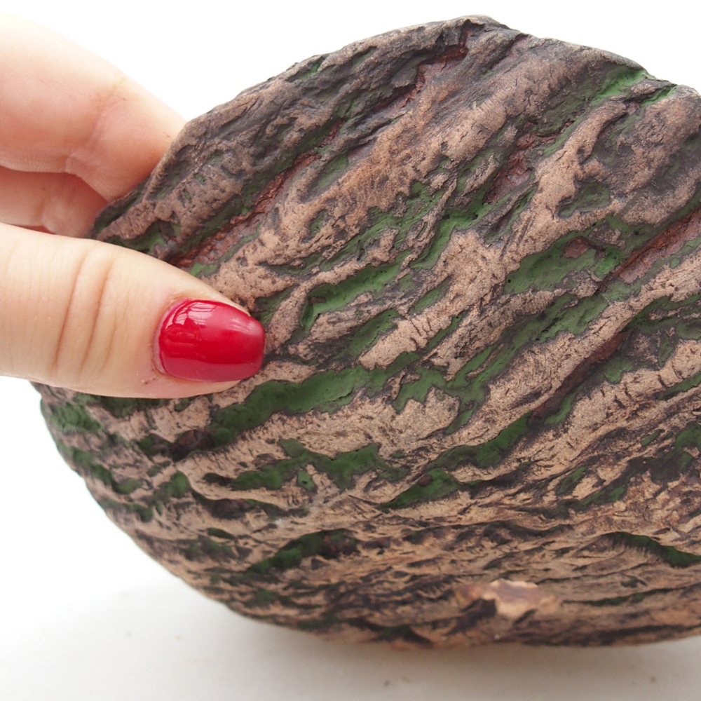 Ceramiczna muszla 20 x 16 x 6,5 cm, kolor zielony