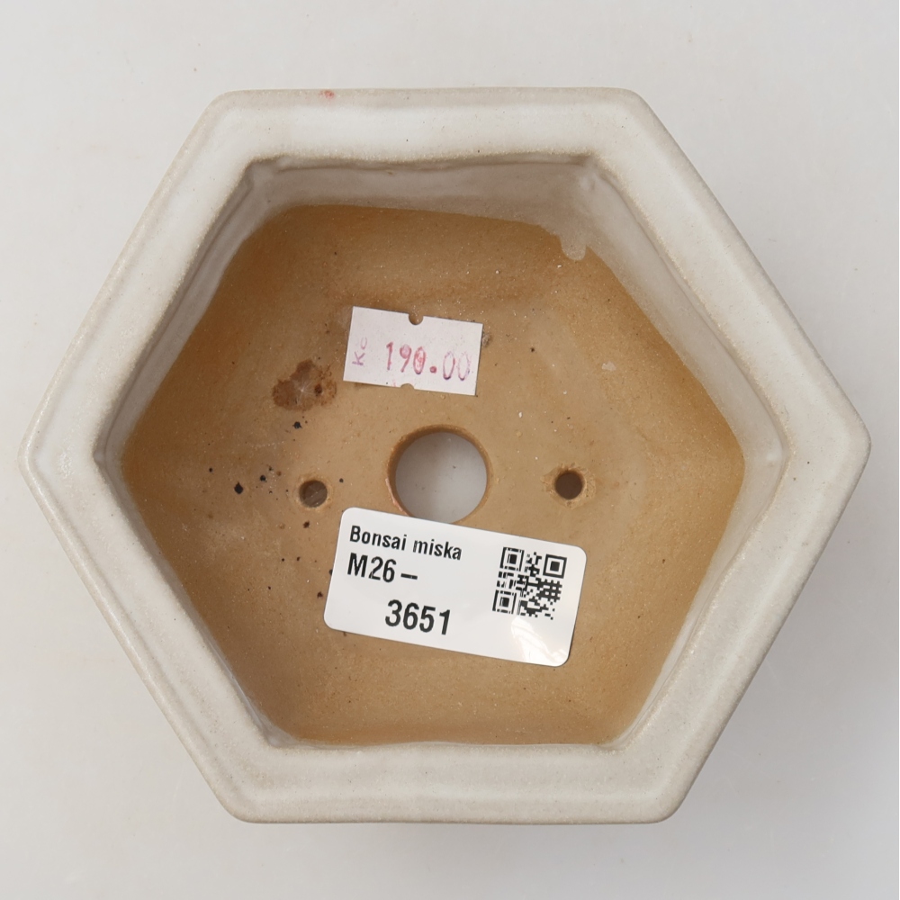 Ceramiczna miska do bonsai 12 x 10,5 x 4,5 cm, kolor biały