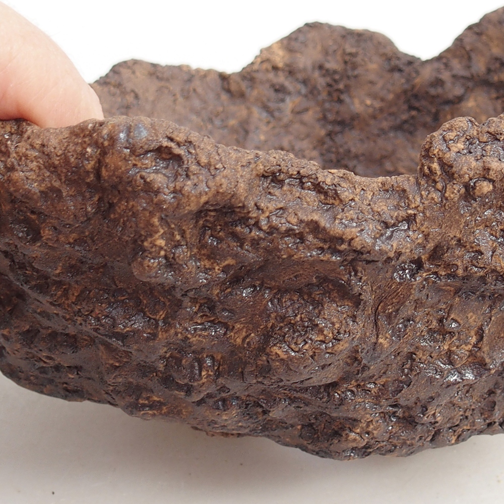 Ceramiczna skorupa 19 x 15 x 14 cm, kolor brązowy