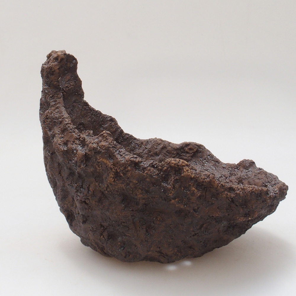 Muszla ceramiczna 18 x 17 x 17,5 cm, kolor brązowy