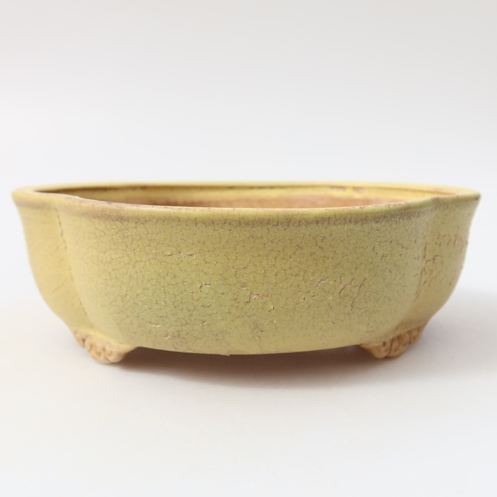 Ceramiczna miska do bonsai 17,5 x 15,5 x 5,5 cm, kolor żółty