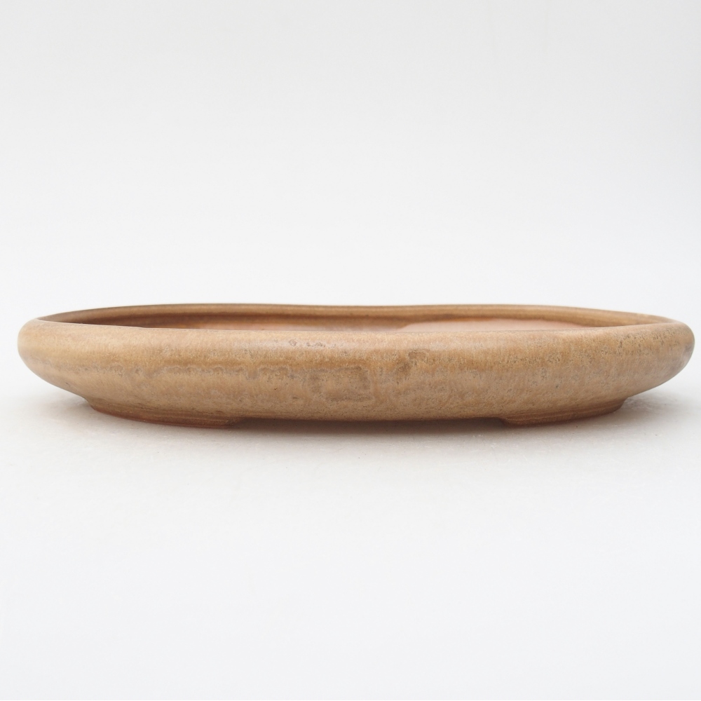 Ceramiczna miska do bonsai 22,5 x 16,5 x 3 cm, kolor beżowy