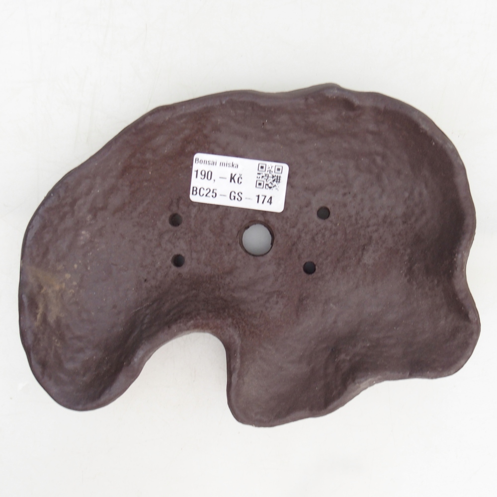 Muszla ceramiczna 15,5 x 9,5 x 7,5 cm, kolor brązowy