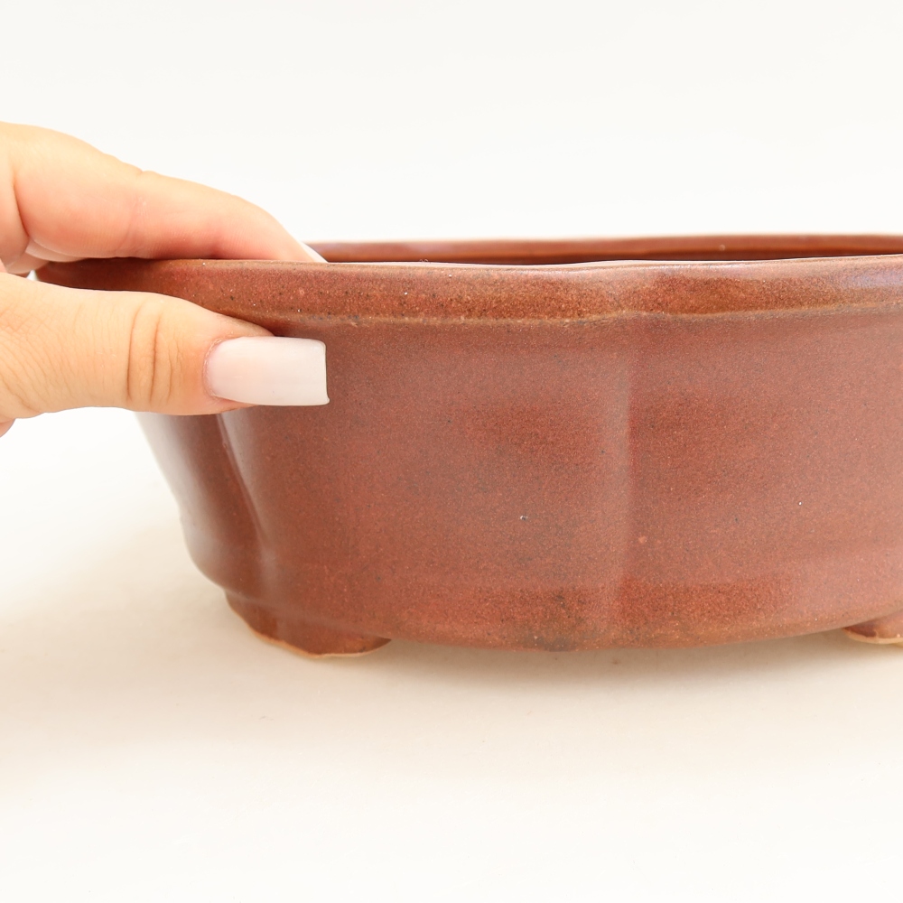Ceramiczna miska na bonsai 26 x 26 x 8 cm, bordowa