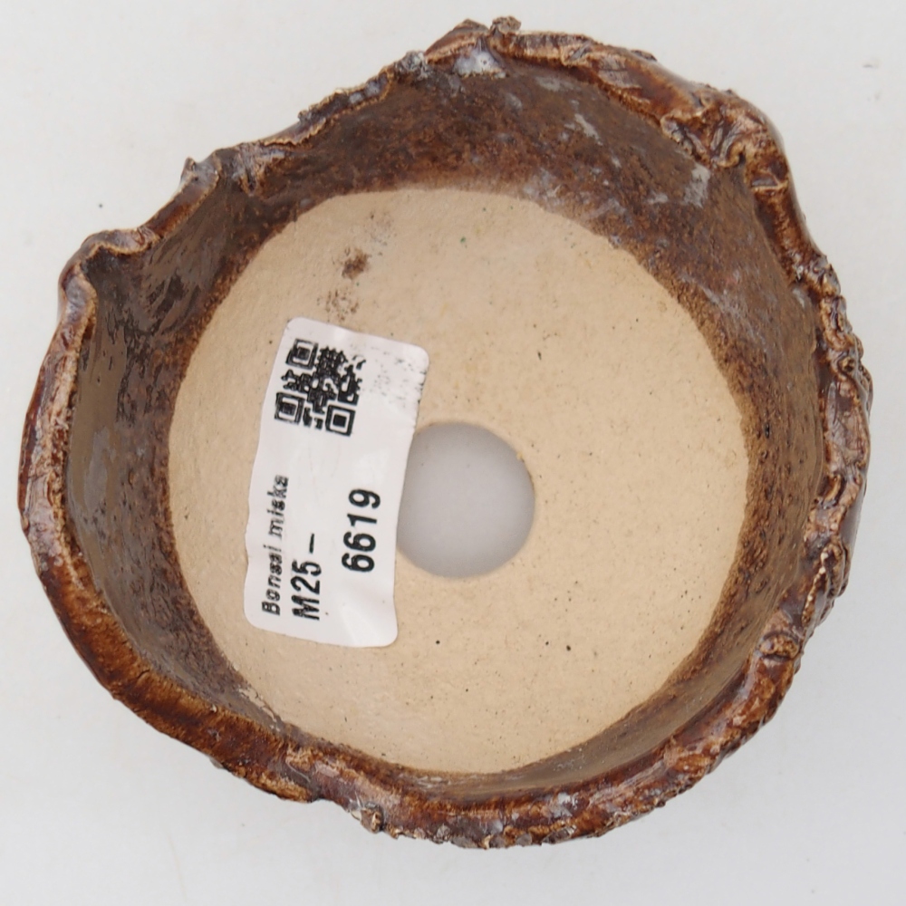 Ceramiczna muszla 8,5 x 8,5 x 7 cm, kolor brązowy