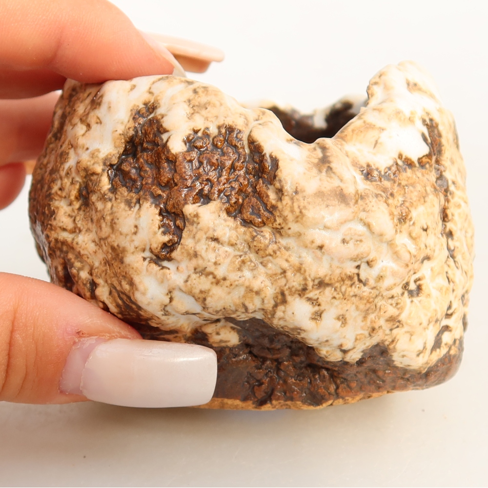 Ceramiczna skorupka  7 x 7 x 6 cm, kolor biało-brązowy