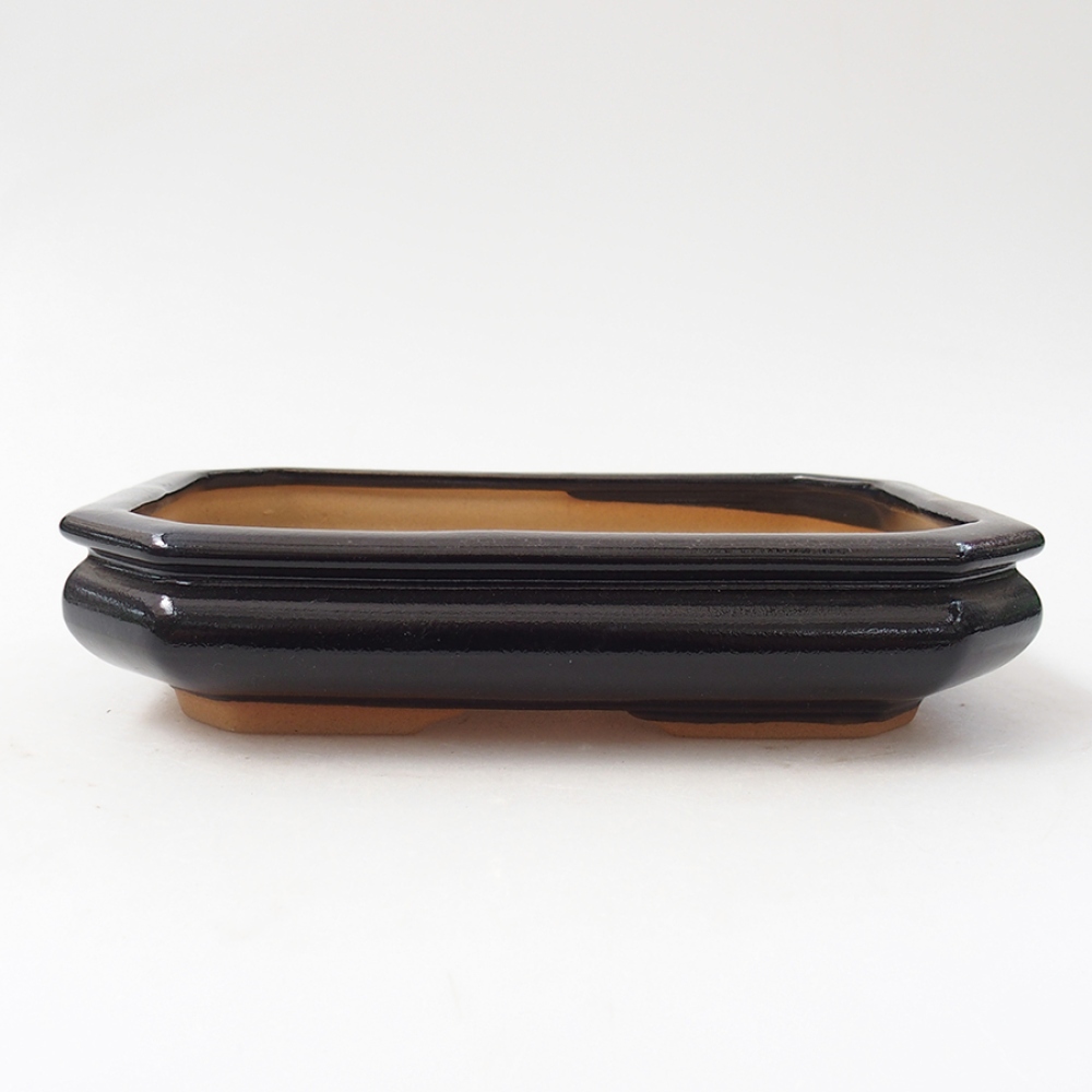 Ceramiczna miska bonsai 19 x 13,5 x 4 cm, kolor czarny
