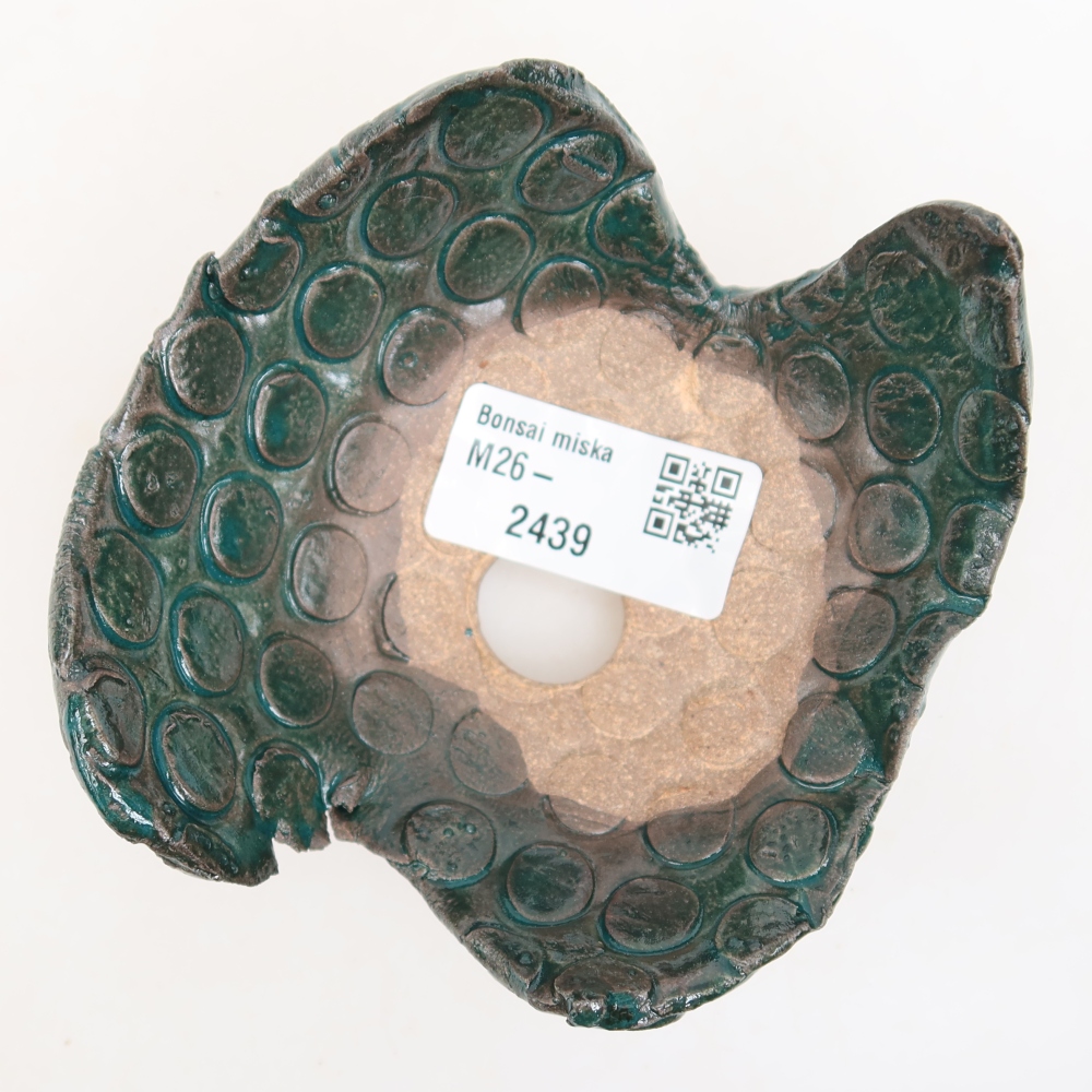 Ceramiczna skorupa  10 x 9 x 6 cm, kolor zielony