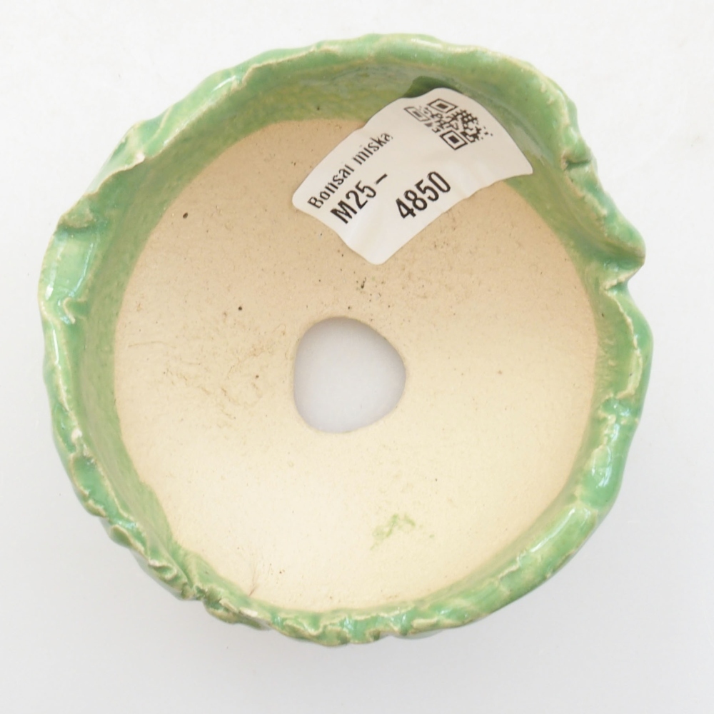 Muszla ceramiczna 7 x 7 x 5,5 cm, kolor zielony